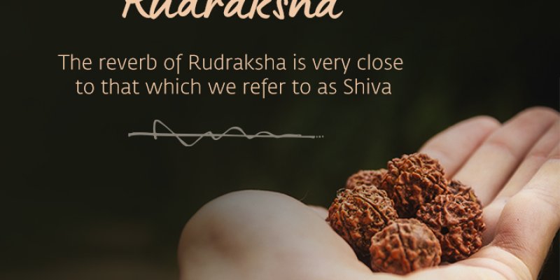 AES275 Rudraksha