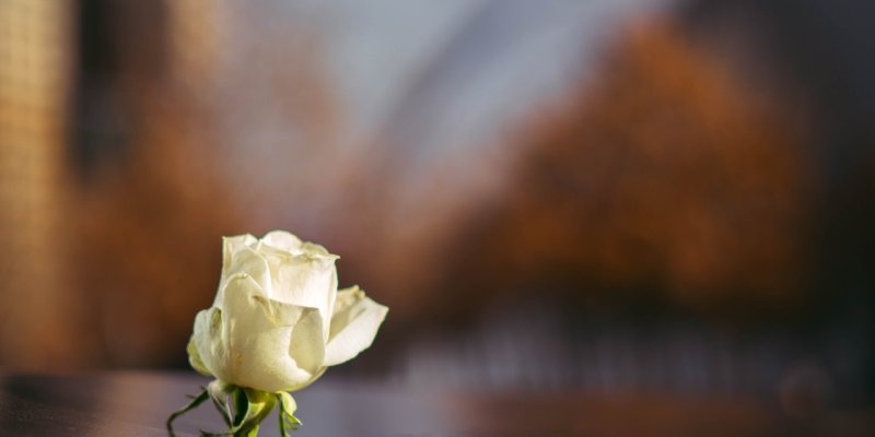 AES283 Mengenang Bu Soem