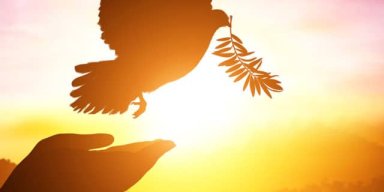 AES283 Let There Be Peace