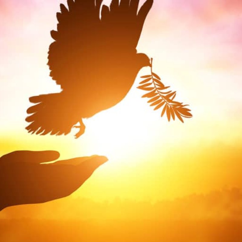 AES283 Let There Be Peace