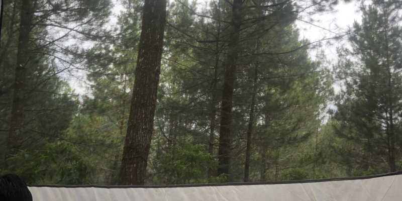 AES 124 Petualangan.&nbsp;