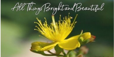 AES 286 Beautiful Words