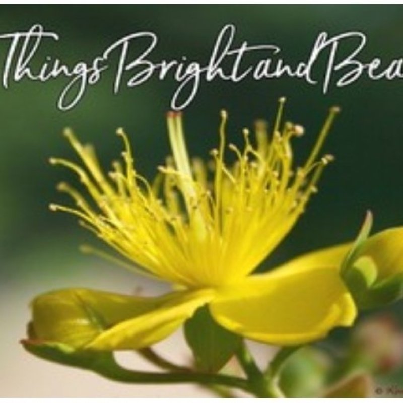 AES 286 Beautiful Words