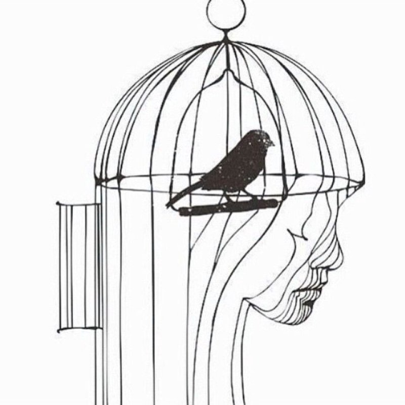 AES289 Caged Bird