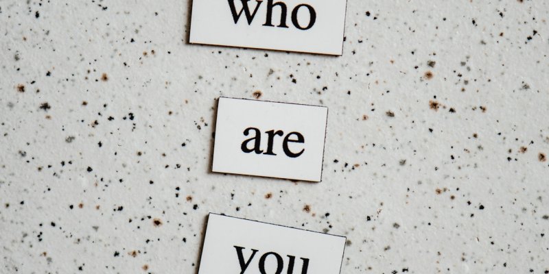 AES295 Menyiapkan HB Literasi Diri