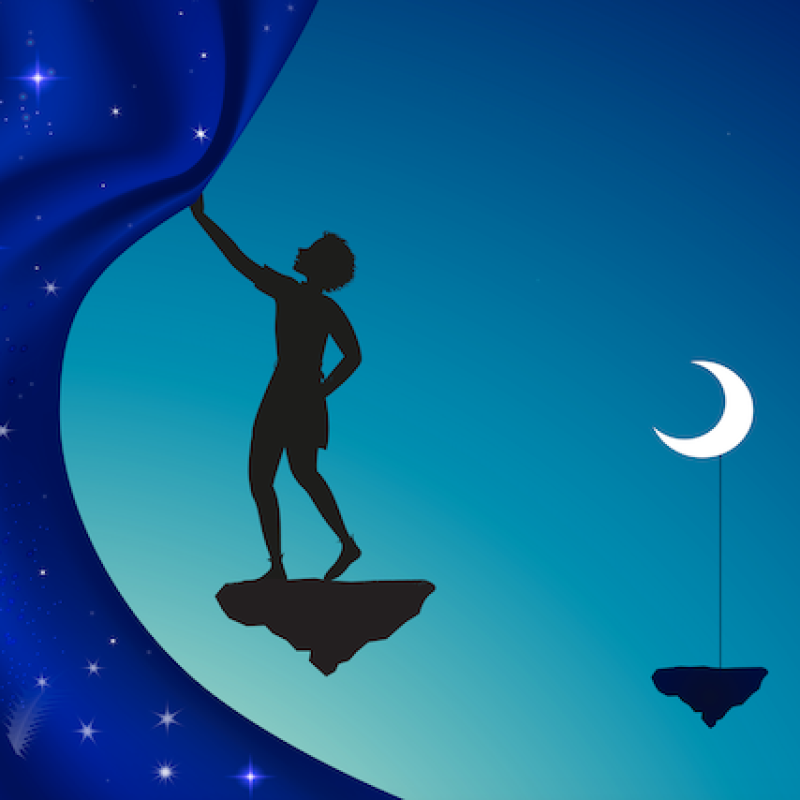 AES293 It&rsquo;s Really Up To You