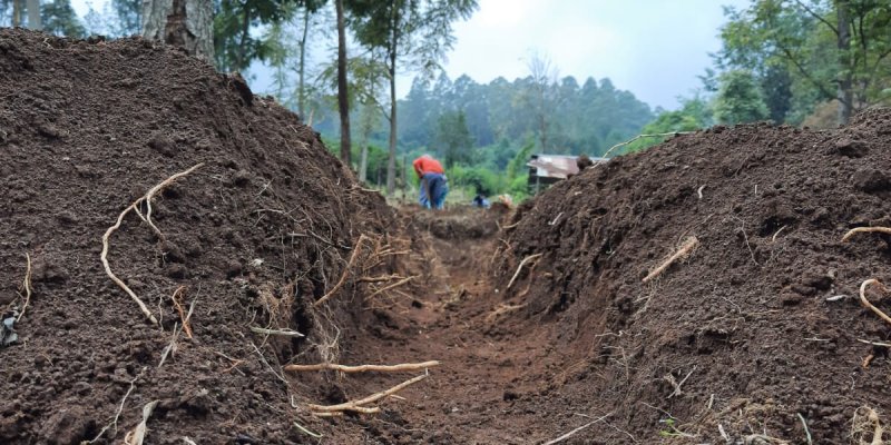 AE S105 Buku Petualang K11 -Berbeda-