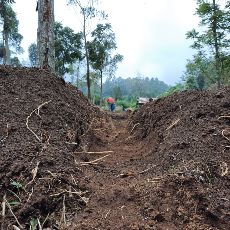 AE S105 Buku Petualang K11 -Berbeda-