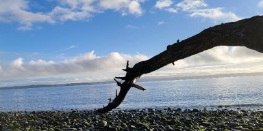 AES 299 Run With Distraction