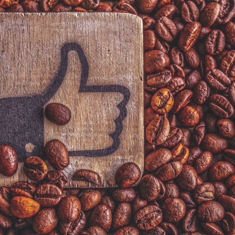 AES306 Kebermanfaatan Koperasi