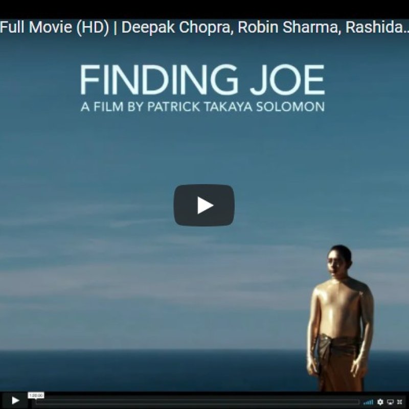 AES308 Penemuan Diri (Finding Joe)