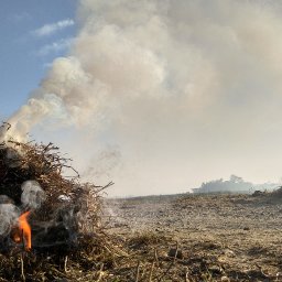 AES 002 Marah Atau Enggak?