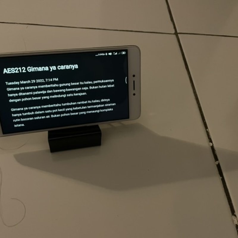 AES212 Gimana ya caranya