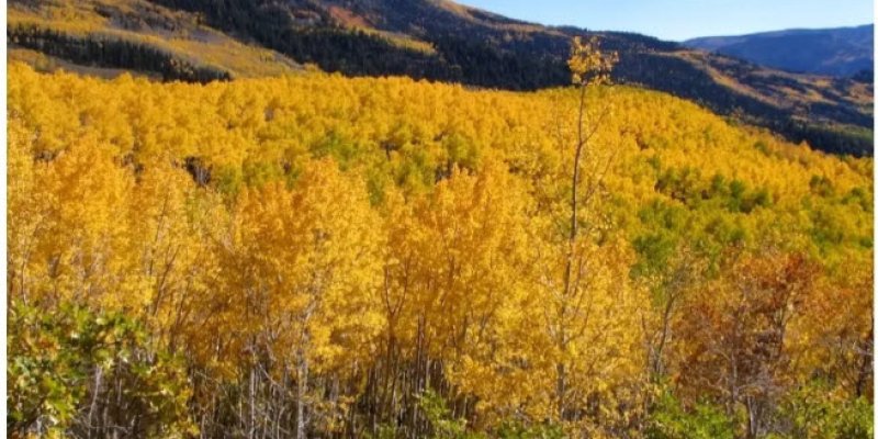 AES 49 Connecting People