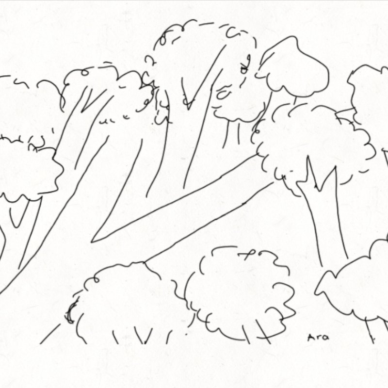 AES02 - The Road Not Taken