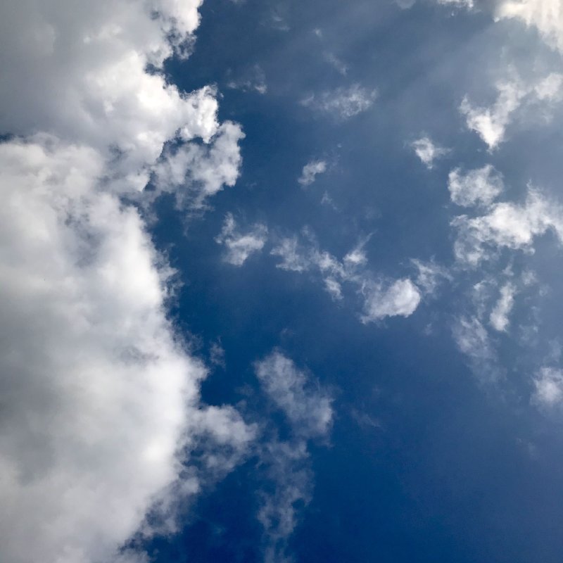 AES06 - And I Shall Fly Once More