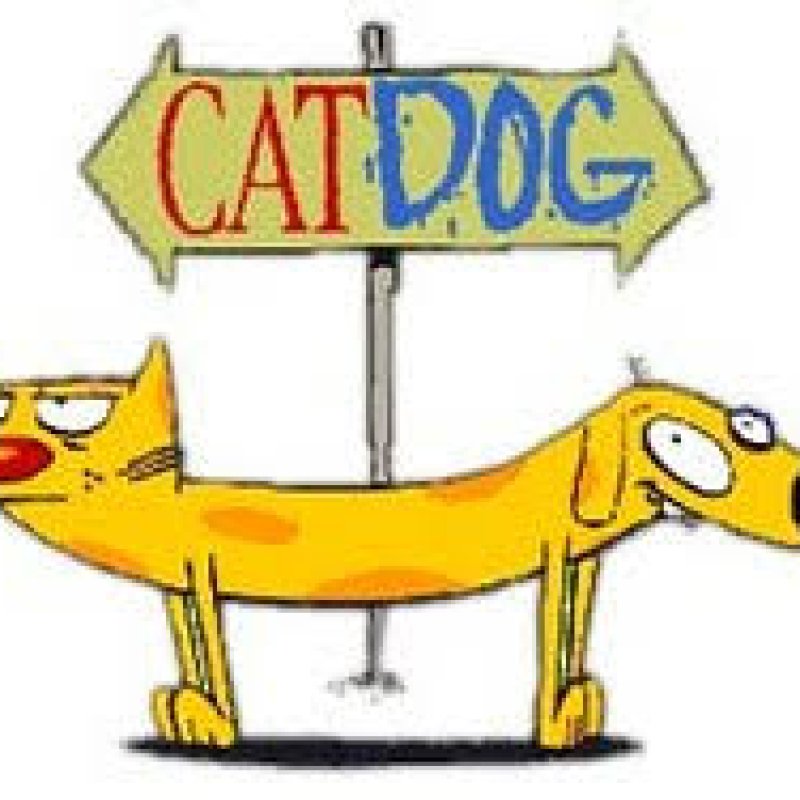AES214 Anjing & Kucing