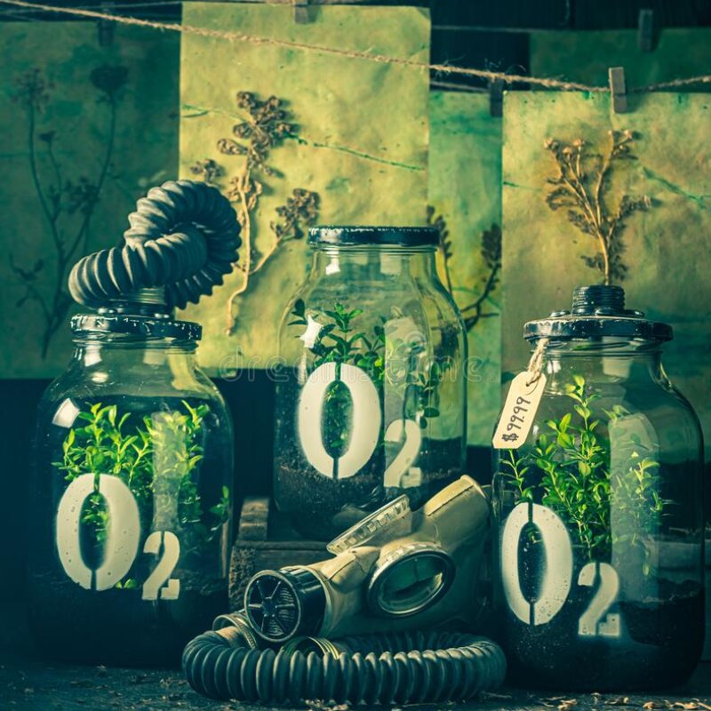 AES311 When Is It Too Late?