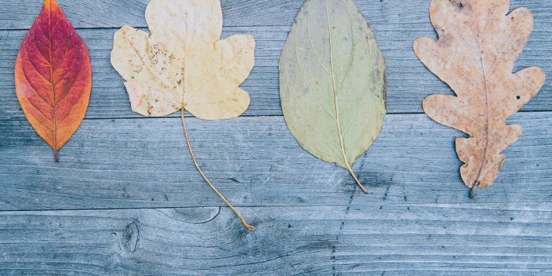 AES084 Mengubah Paradigma Pendidikan 