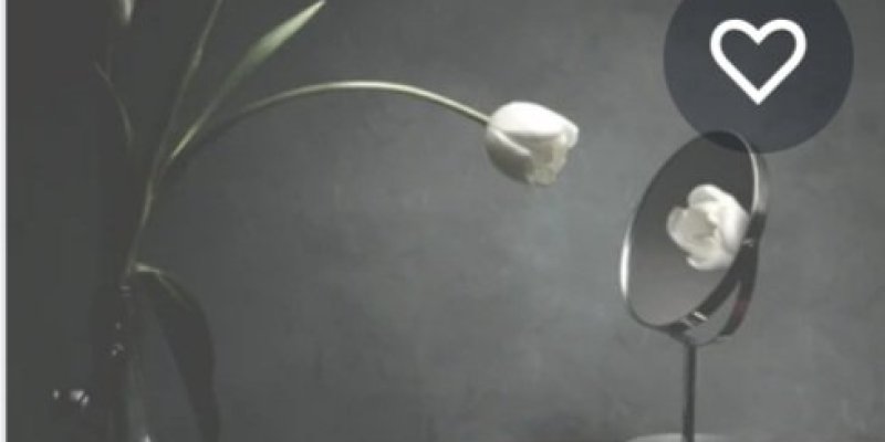 AES 77 Life As A Mirror