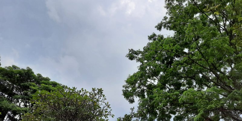 AES51 Kehilangan 