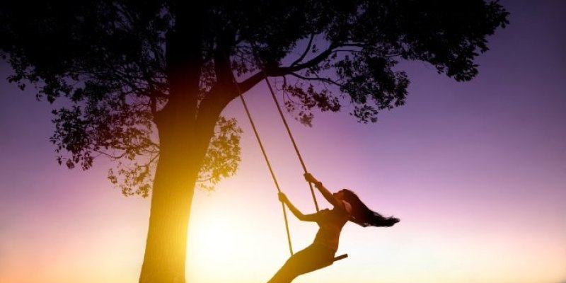 AES327 Successful Life