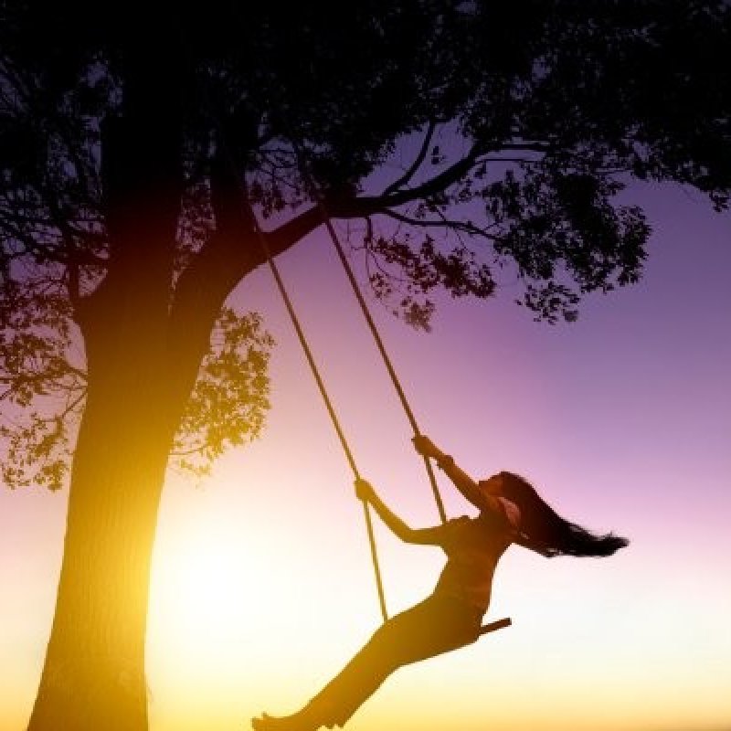 AES327 Successful Life