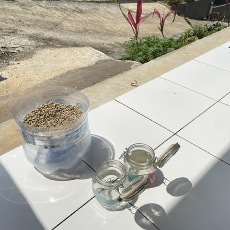 AES232 Efek Samping