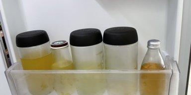 AES233 Bertahan Hidup