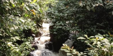 AES015 Perjalanan Menuju Sunyi