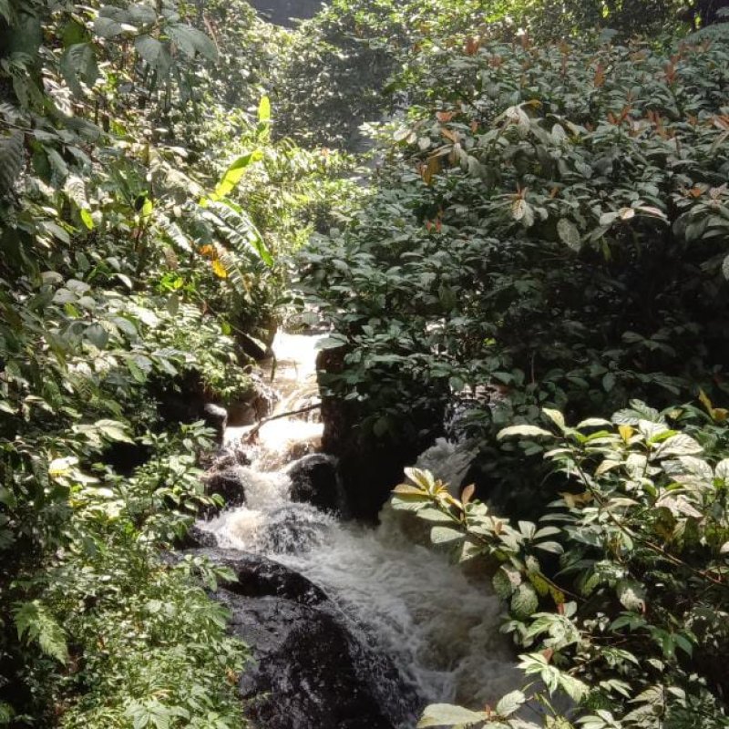 AES015 Perjalanan Menuju Sunyi