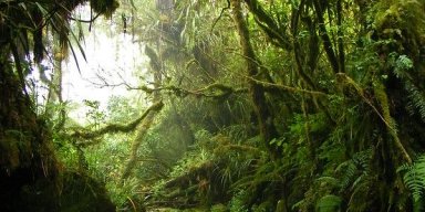 AES003 Cerita tentang di Alam Bebas