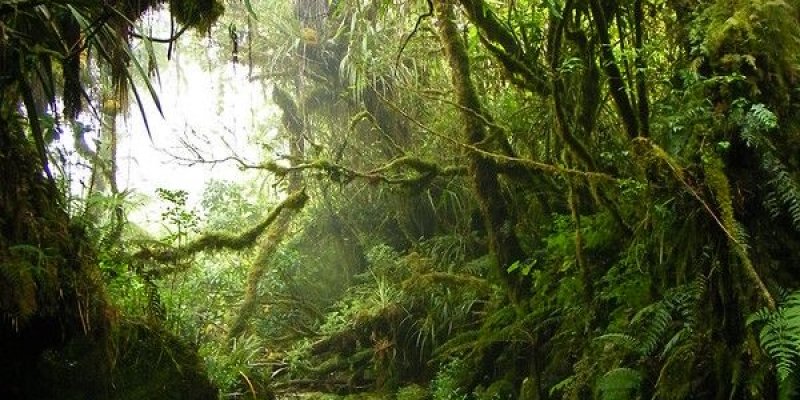 AES003 Cerita tentang di Alam Bebas