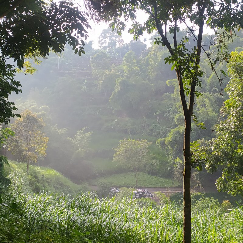 AES376 A Short Hike to Lembang