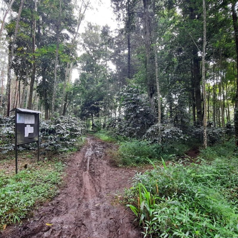 AE S138 Catatan Si Jaki II