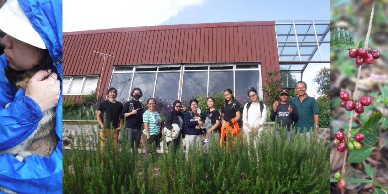 Pertama ke Kebun Kopi Smipa Co-Op