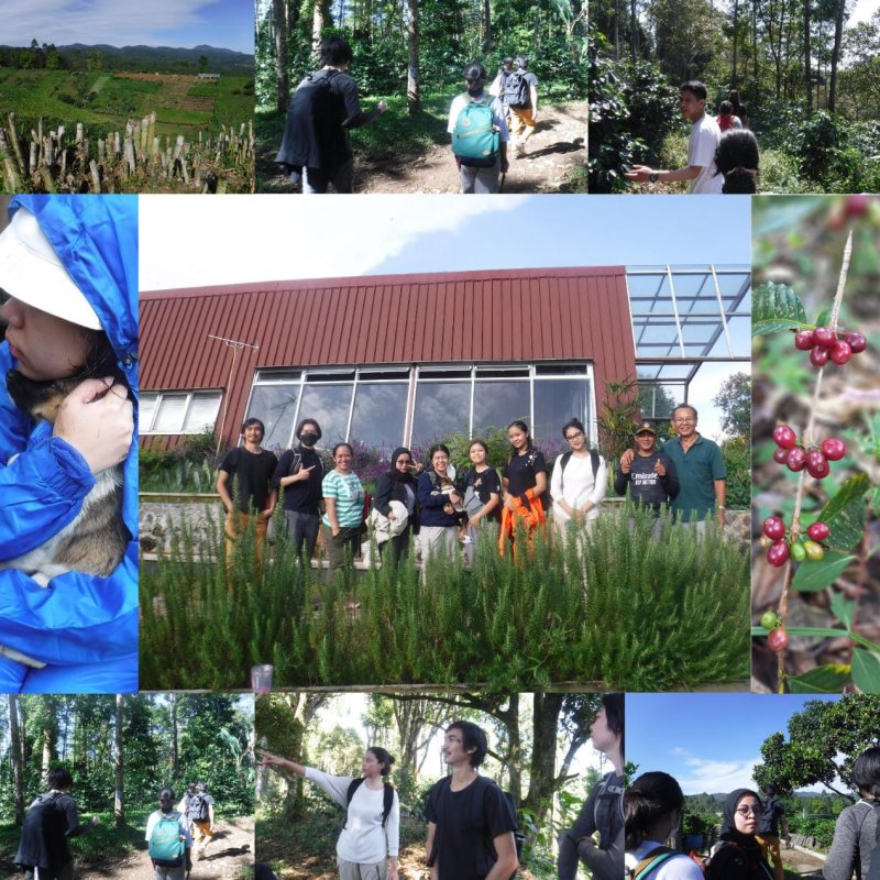 Pertama ke Kebun Kopi Smipa Co-Op