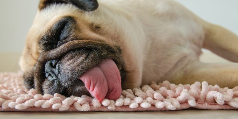 AES 394 Terlalu Bersemangat