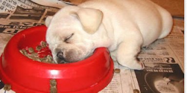 AES 403 Don't Prioritize Your Look