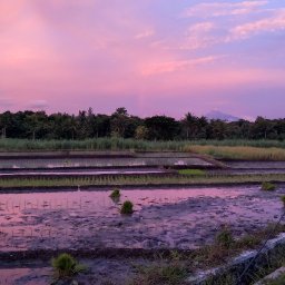 AES005 Yogyakarta Hari ke-1