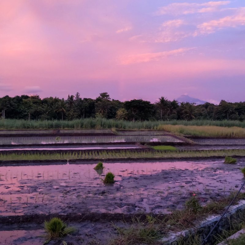 AES005 Yogyakarta Hari ke-1