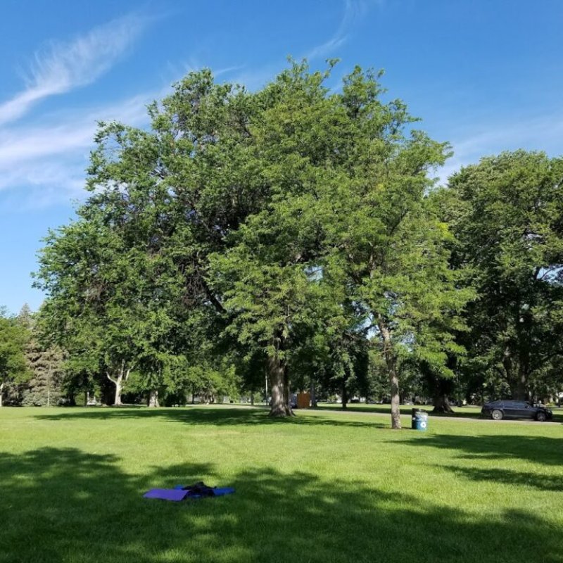 AES 413 In The Park