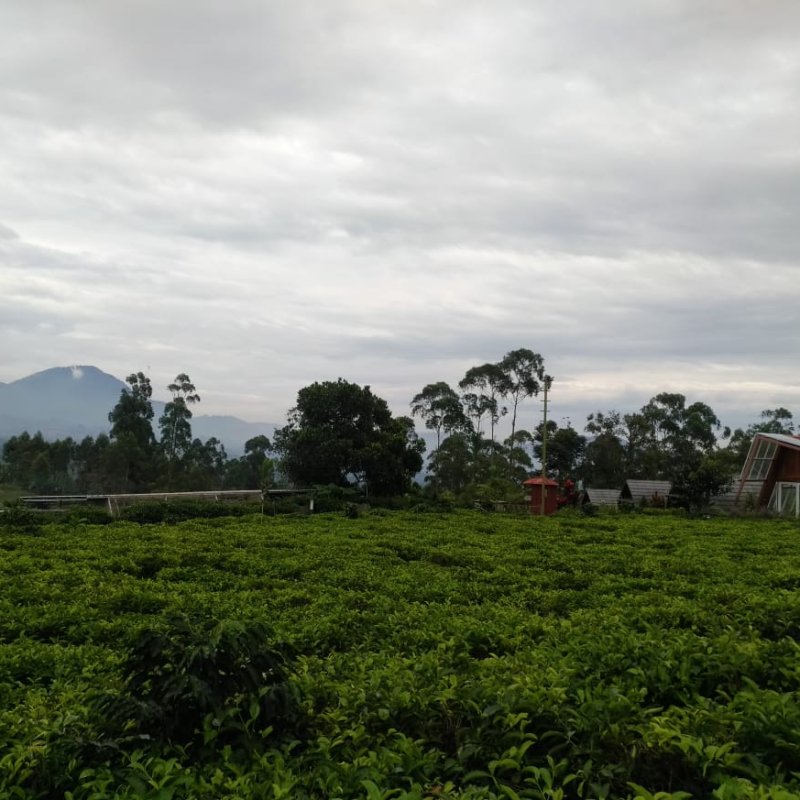 AES011 Pak Vinan Bagian 2