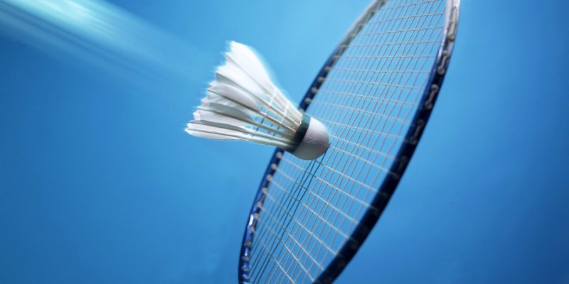 AES 422 Badminton