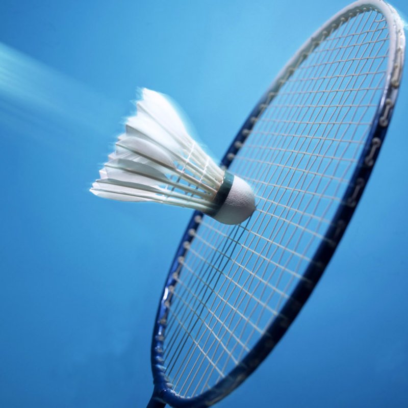 AES 422 Badminton