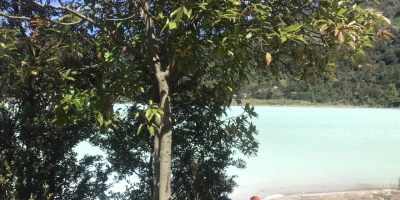 AES56 Belum Siap Dewasa