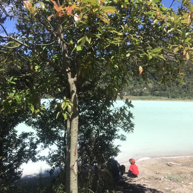 AES56 Belum Siap Dewasa