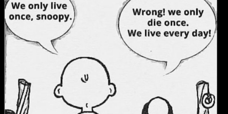 AES 437 You Only Die Once