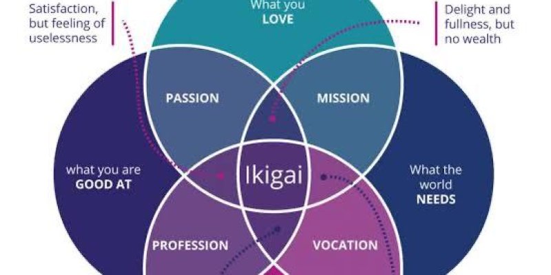 AES #82 IKIGAI ku