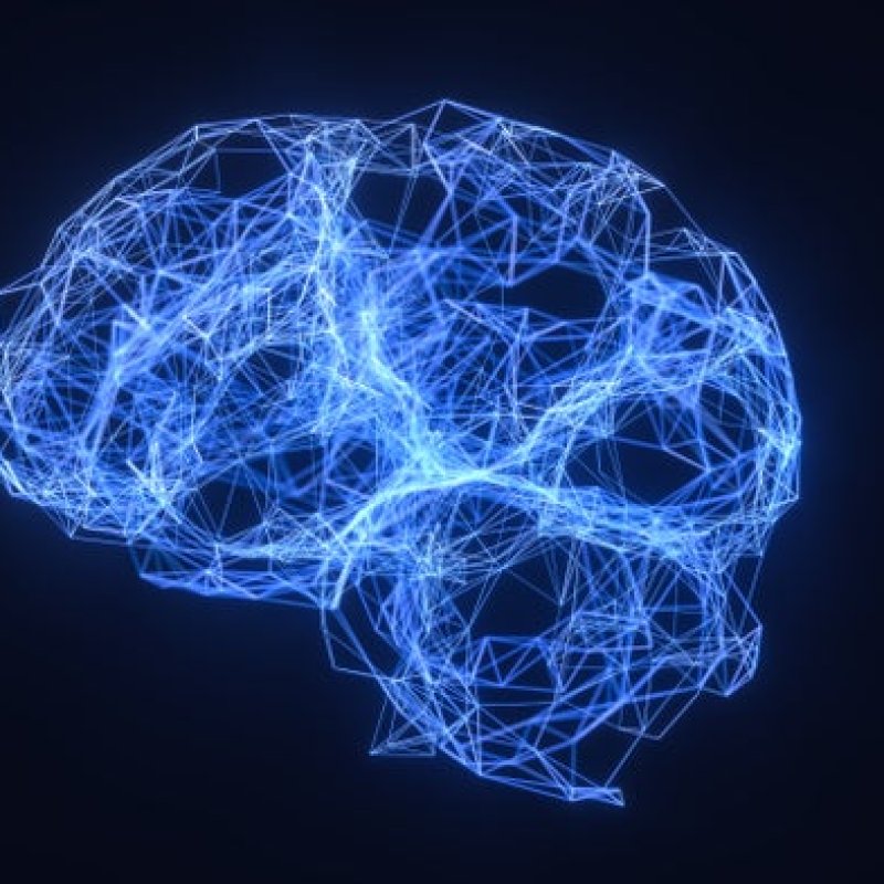 AES12 Brainwaves